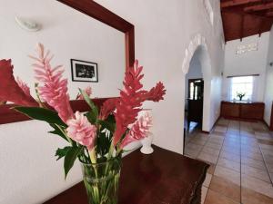 Fotografia z galérie ubytovania VILLA COLIBRI v destinácii Mon Repos