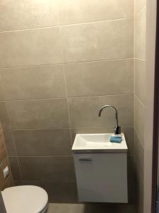 A bathroom at Ádám Guesthouse I.