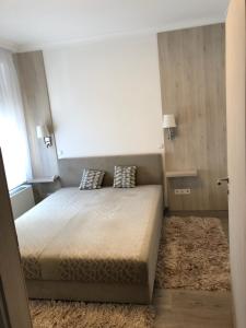 1 dormitorio con 1 cama con 2 almohadas en Ádám Guesthouse I., en Kecskemét