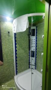 シエラネバダにあるPresidente Deluxeのバスルーム(シャワー、トイレ、鏡付)