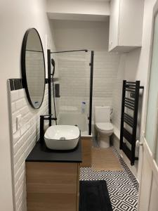 La salle de bains est pourvue d'un lavabo, d'un miroir et de toilettes. dans l'établissement Studio Anchin, à Douai
