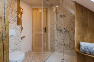 een badkamer met een toilet en een glazen douche bij Guesthouse Sabine - pr` Skminc in Bohinjska Bela