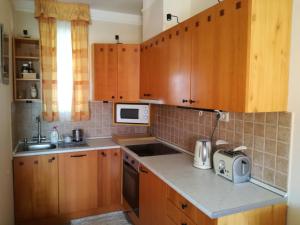 Kuchyňa alebo kuchynka v ubytovaní Best Golf-Birdland Apartman
