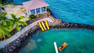 Saletoga Sands Resort & Spa في Matatufu: إطلالة علوية على مسبح في المحيط