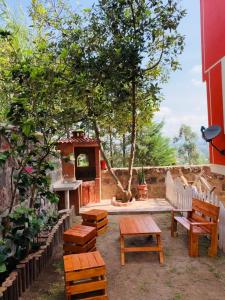 un patio con bancos de madera y un árbol en Hostal Casa San Fernando Tumbaco en Quito