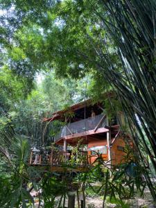 a tree house in the middle of the forest at Cabana do Tarzan na Praia de Parati Mirim in Paraty