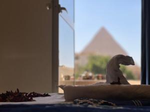 Зображення з фотогалереї помешкання Pyramids top success result у Каїрі