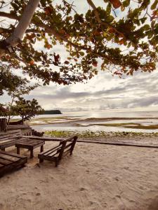 two wooden benches sitting on a beach near the water at Sabas Beach and Campsite in Siquijor +15 photos