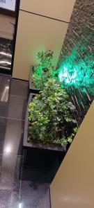 un plantador lleno de plantas verdes en un piso en المكارم بارك للشقق المخدومة en Ḩayy aş Şāliḩīyah