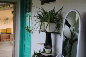 Fotografie z fotogalerie ubytování Chocolate Home v destinaci Da Lat