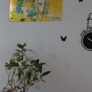 Fotografie z fotogalerie ubytování Chocolate Home v destinaci Da Lat