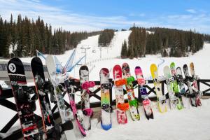 a row of snowboards lined up on a ski slope at Sundance Lodge in Sun Peaks