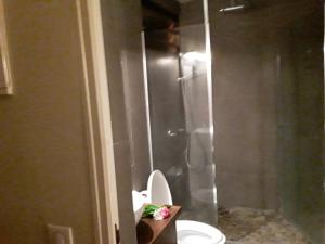 a bathroom with a toilet with a shower stall at ROYAL HERE in Faaa