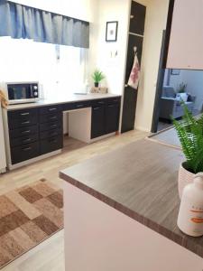 Kuchyň nebo kuchyňský kout v ubytování Inha holiday house