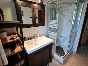 a bathroom with a sink and a shower at Charmant Gîte Vosgien avec Terrasse, Randonnées et Lacs, Proche Alsace et Col du Donon - FR-1-584-54 in Bionville