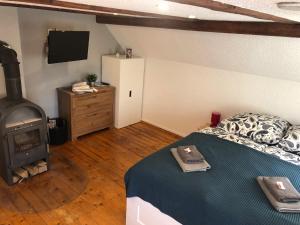 a bedroom with a bed and a wood stove at SaidenbachHaus in Großhartmannsdorf