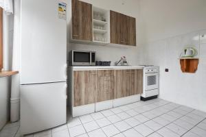 Kuchyň nebo kuchyňský kout v ubytování Hotel Sklárna Harrachov
