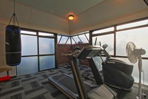 Fitness centrum a/nebo fitness zařízení v ubytování Rosebank Lodge