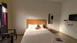 TV a/nebo společenská místnost v ubytování AMBIENT HOME STAY, In Nashik