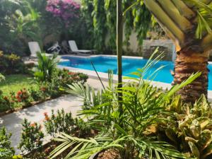 a swimming pool in a garden with plants at Villa Jaddis in Abidjan