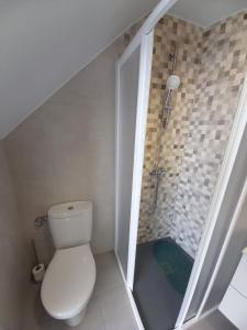 a bathroom with a toilet and a walk in shower at Casa Ortiz with private roof terrace - oceanview in Conil de la Frontera +10 photos