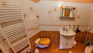 a bathroom with a toilet and a sink at Vila Rhea in Važec