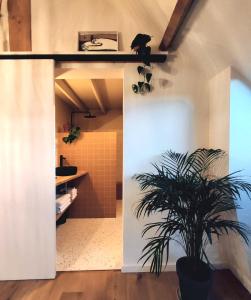 a plant in a room with a bathroom at RUIMTEZICHT cosy appartement with sauna in Ostend