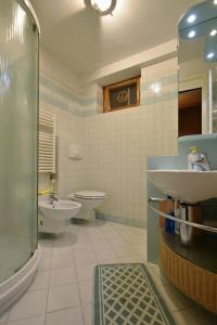 La salle de bains est pourvue d'un lavabo, de toilettes et d'une douche. dans l'établissement Masetto Pramagnan, à Madonna di Campiglio