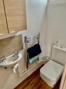 La petite salle de bains est pourvue de toilettes et d'un lavabo. dans l'établissement 'The Wheelhouse' Nautically themed with large sleeping deck, à Southwold