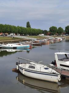 a bunch of boats are docked in the water at Dune in La Teste-de-Buch