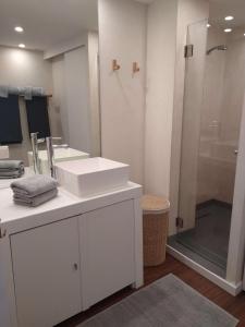 uma casa de banho com um lavatório e um chuveiro em Casinha Secreta - A Gema Escondida da Santa Luzia em Santa Luzia