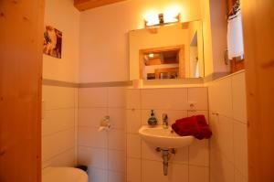 een badkamer met een wastafel, een toilet en een spiegel bij Feriendorf Via Claudia Haus 52 Bunte Kuh in Illach