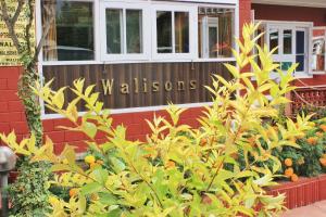 Κήπος έξω από το Walisons Hotel