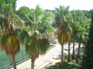 Zahrada ubytování Hotel Don Miguel Playa