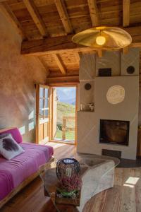 a living room with a couch and a fireplace at Chalet Panorama Res Albert in San Guglielmo