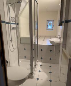 a bathroom with a shower and a toilet and a sink at Wunderschöne Ferienwohnung in den Bergen in Tiefencastel