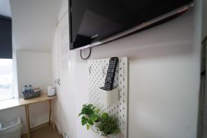 a kitchen with a shelf with plants on the wall at Sea Bed Guesthouse in Newquay