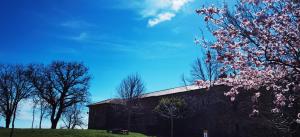 Imagen de la galería de La Posada Del Santuario, en Nava de Santullán 44 fotos más