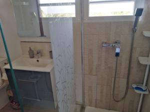 W łazience znajduje się prysznic i umywalka. w obiekcie Domaine Decotte bungalow w mieście Sainte-Suzanne