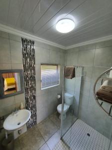 a bathroom with a toilet and a sink and a shower at Huis van Seisoene in Klerksdorp