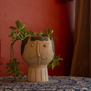 eine Vase auf einem Tisch mit einer Pflanze darin in der Unterkunft Udabno Hostel in Udabno