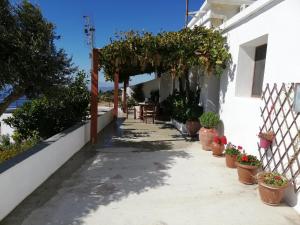 a walkway with potted plants on the side of a building at Lorentzia House 2 ! in Apróvaton
