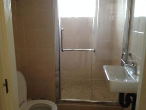 un bagno con doccia, WC e lavandino di Bed and breakfast Newlife BNB a Edenvale Altre 52 foto