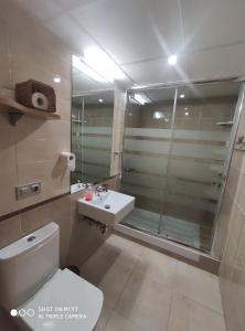 a bathroom with a shower and a toilet and a sink at Apartamento Castillo Bajo in Torrox Costa