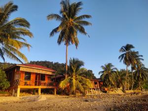 a house on the beach with palm trees at SPC or SP Barakah at ABC Air Batang Village in Tioman Island