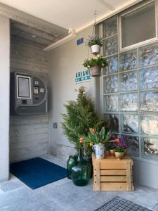 a building with a atineentalentalribune sign and potted plants at Hotel B&B Stossplatz in Appenzell