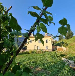 Zahrada ubytování Tetne Qor Guesthouse