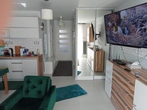 een woonkamer met een televisie en een groene stoel bij Apartament Anita in Mielec