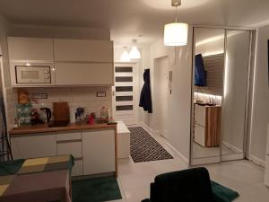 Kuchyňa alebo kuchynka v ubytovaní Apartament Anita