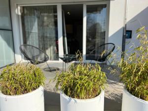 Zahrada ubytování smartroom Rössli Hunzenschwil